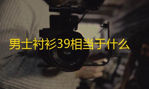 王者荣耀科技购买网站男士衬衫39相当于什么尺码